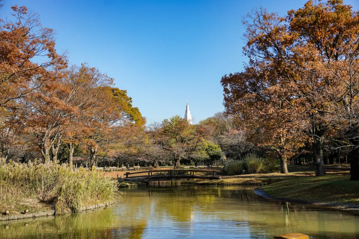 Mejor época para visitarlo (otoño, primavera y el “cielo de Tokio”)