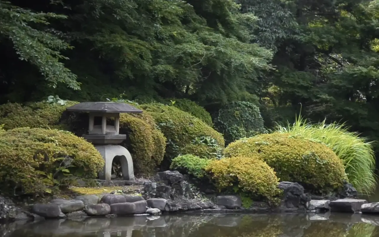 Pulmón verde y primer contacto urbano en Shinjuku
